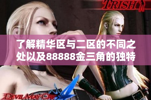 了解精华区与二区的不同之处以及88888金三角的独特魅力