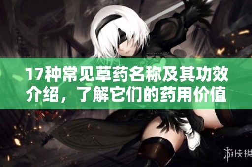 17种常见草药名称及其功效介绍，了解它们的药用价值和用途